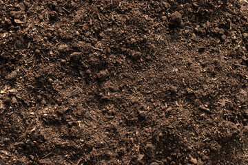 Soil texture background, Fertile soil for planting.
