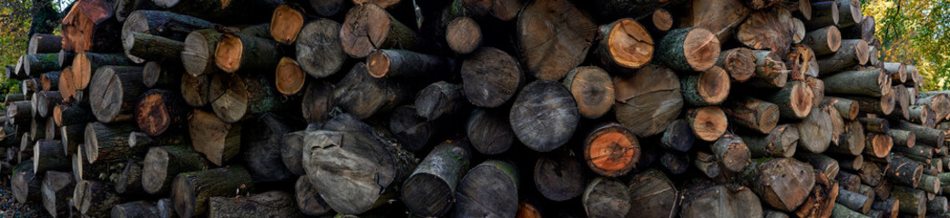 Wood Stacks