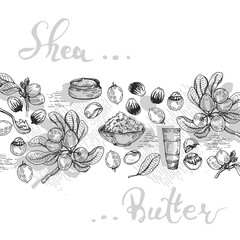 Background with branch Shea tree with fruits, nuts, leaves and Shea butter. Detailed hand-drawn sketches and lettering, vector botanical illustration. For cosmetics, medicine, aromatherapy.