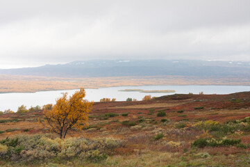 Fototapeta na wymiar Autumn in Norway