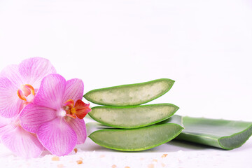 three juicy pieces of aloe vera and phalaenopsis orchid in the close-up
