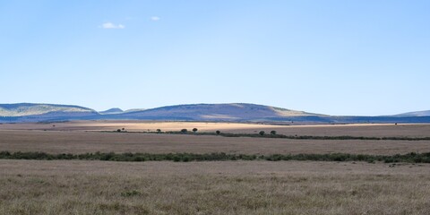 Obraz premium Kenya: landscape of maasai mara park