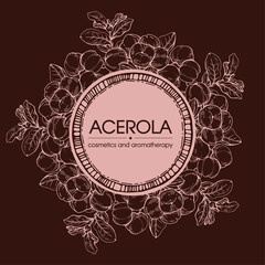 Frame with branch acerola cherry, fruit, flower . Detailed hand-drawn sketches, vector botanical illustration.