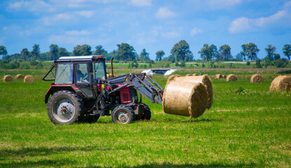 Red tractor carrying hay bale rolls - stacking them on pile. Agricultural machine collecting bales...