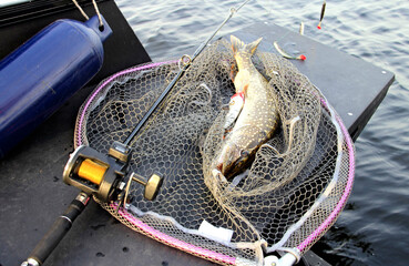 fishing nets on the dock