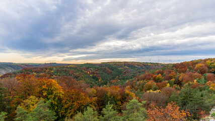 Colorful tree crowns in autumn