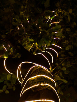 christmas tree decoration