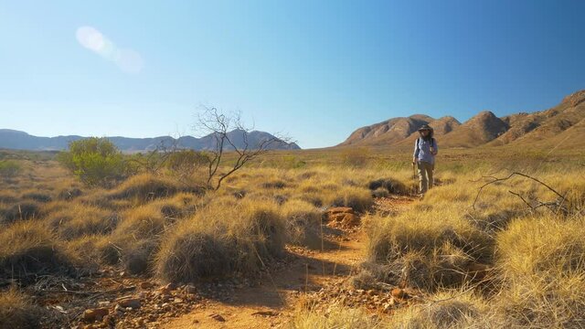 Hiker walks trail through spinifex in front of mountains, Central Australia
