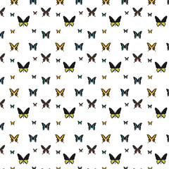 Obraz na płótnie Canvas pattern background, of beautiful butterflies