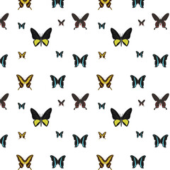 Fototapeta na wymiar pattern background, of beautiful butterflies