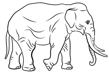 In the animal world. Image of an elephant. Black and white drawing, coloring.