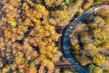 View from above on a winding road through the forest in Taunus / Germany in autumn