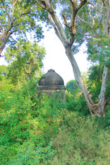old temple structure in green forest