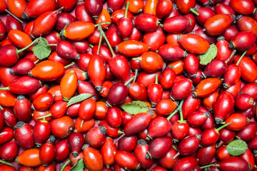 Rose hip fruits background