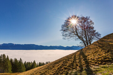 Ofterschwang - Wandern - Wolkenmeer - Herbst - Allgäu