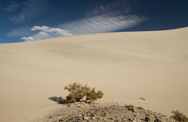 Desert landscape. View of the enchanting sand dune called Magical Dune of Saujil, in Catamarca, Argentina.