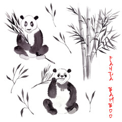 Panda bear with bamboo watercolor ink illustration 