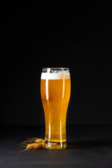 Glass of beer on dark concrete background. Copy space