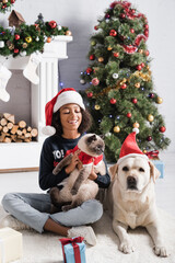 joyful african american girl holding fluffy cat while sitting near labrador and christmas tree