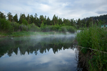 the charm of the wild