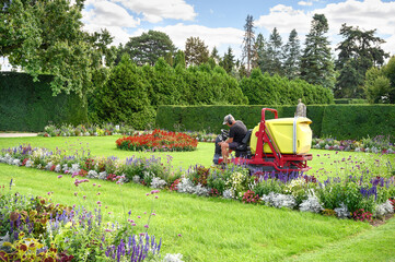 Fototapete bei efototapeten.de bestellen   