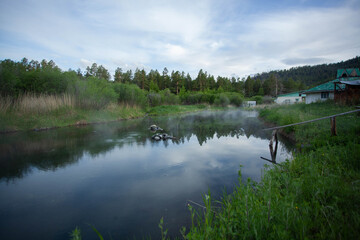 the charm of the wild