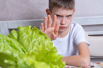 A handsome Caucasian boy refuses to eat salad, with an open hand makes a stop sign with a serious...