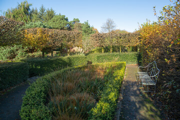 Garden bench set in the secluded hedged garden