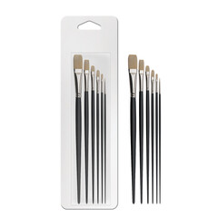 3D illustration of brush set in blister card on white background