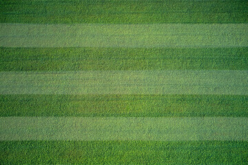 Top view of the football field. Green grass soccer field background. Aerial view of a grass plantation.