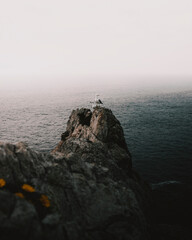 Seagulls perched on the cliffs.