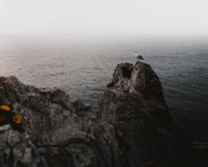 Seagulls perched on the cliffs.