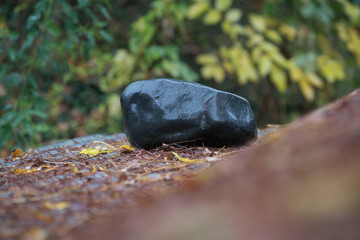 stone or rock surface pattern