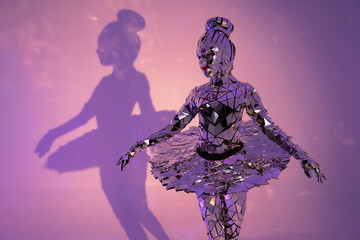 Mirror xmas ballerina dance costume