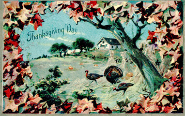 Turkeys in a field, surrounded by Autumn leaves. Vintage Thanksgiving Themed Postcard, restored art from before 1925. Colors and details enhanced. Festive Autumn illustrations from the past.
