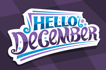 Vector lettering Hello December, white sticker with curly calligraphic font, decorative flourishes and snow flakes, headline with swirly handwriting lettering hello december on abstract background. © mihmihmal