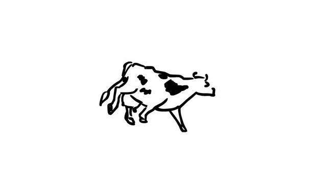 Black and white cow walking. Cartoon seamless  loop animation
