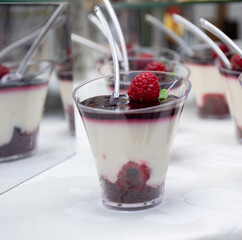 mini desserts in a cup with a spoon. raspberry milk, creamy desserts in a cup