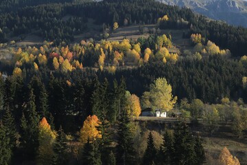 Fototapeta premium Beautiful orange and red autumn forest.turkey