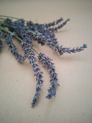 Lavender branches on the craft paper.