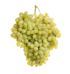 Bunch of fresh ripe juicy grapes isolated on white