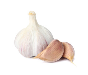 Fresh organic garlic bulb and cloves on white background