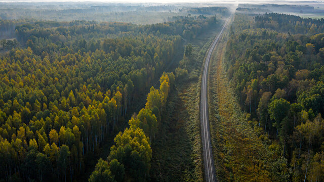 aerial view of railroad in forest at foggy autumn morning © ako-photography