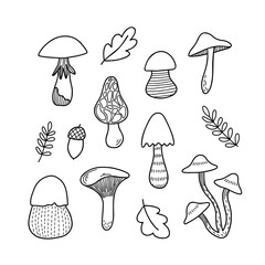 Set of different mushrooms, hand drawn doodle collection
