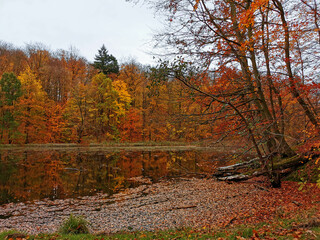 Obraz premium The colors of autumn of Germany