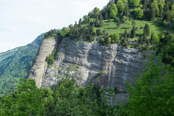 Felswand der Rigi-Südseite, ob Vitznau, Kanton Schwyz, Schweiz