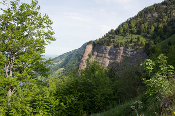 Fototapeta na wymiar Felswand der Rigi-Südseite, ob Vitznau, Kanton Schwyz, Schweiz