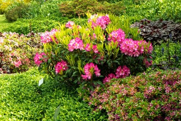 Berggarten - Herrenhäuser Gärten - Hannover