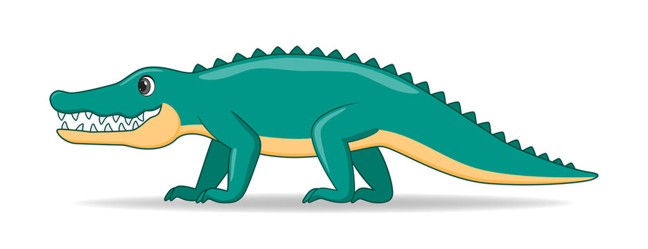Crocodille animal standing on a white background. Cartoon style vector illustration