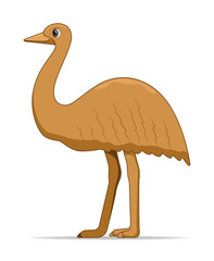 Ostrich Emu bird on a white background